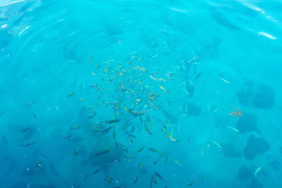 Makathanee Resort Koh Mak Ngoại thất bức ảnh